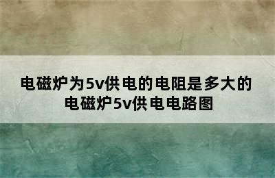 电磁炉为5v供电的电阻是多大的 电磁炉5v供电电路图